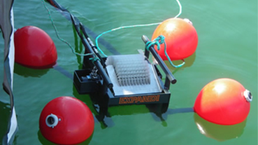 Multi Skimmer Malaysia Singapore Brunei