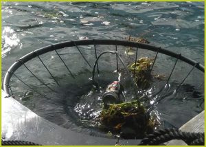 spilltech PortBin malaysia singapore brunei