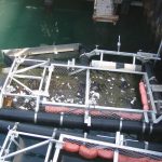 Bandalong Floating Litter Trap Malaysia Singapore Brunei5