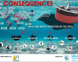 Infographic - Impact of Oil Spill to Environment