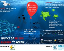 Infographic - Impact of Helium Balloon To Ocean