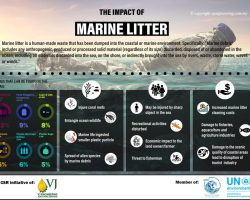 Infographic - Impact of Marine Litter to Aquatic Life, Human & Economic