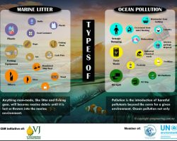 Infographic - Types of Marine Litter Pollution