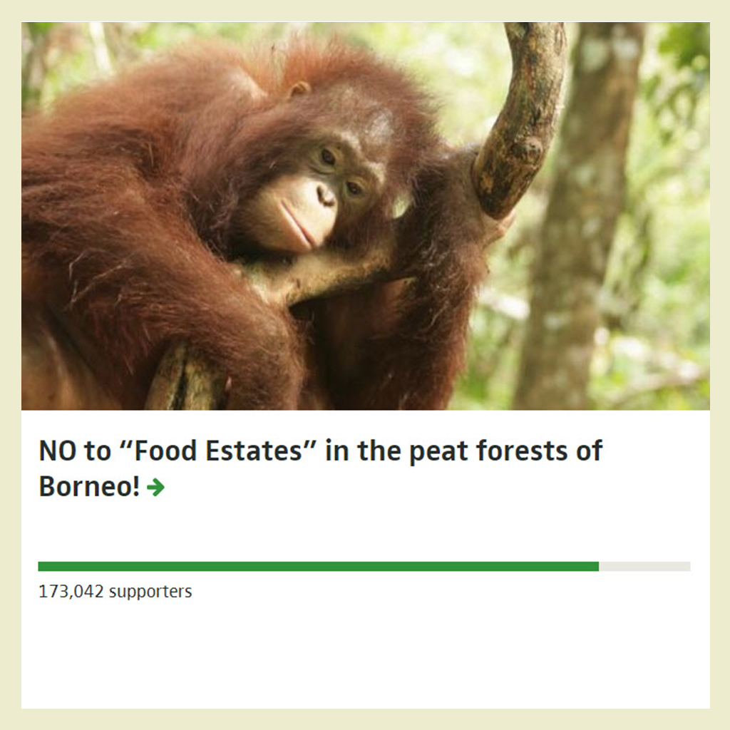 Protect-Borneo-Forest