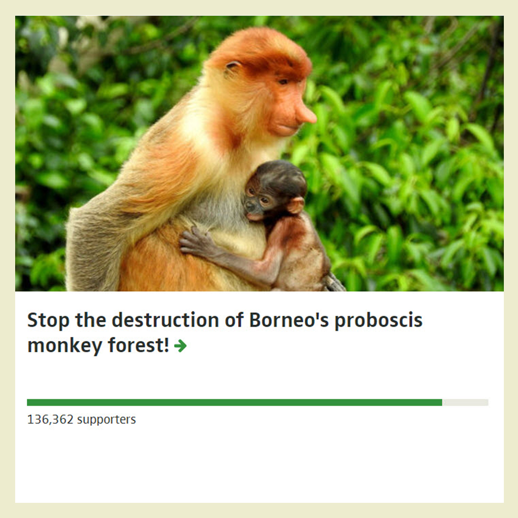 Protect-Borneo-Forest2jpg